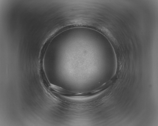 X0000070210488200606021259