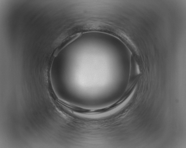 X0000070210489200606021259