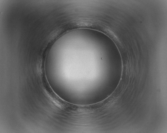 X0000070210490200606021259