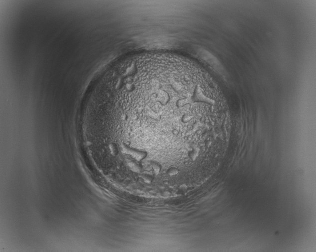 X0000070210491200606021259