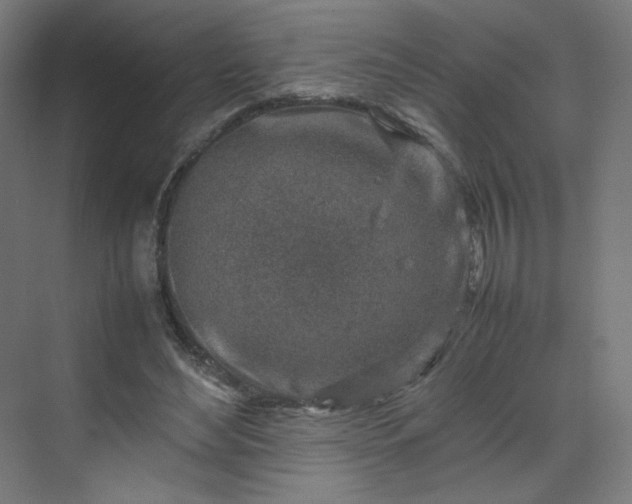 X0000070210492200606021259