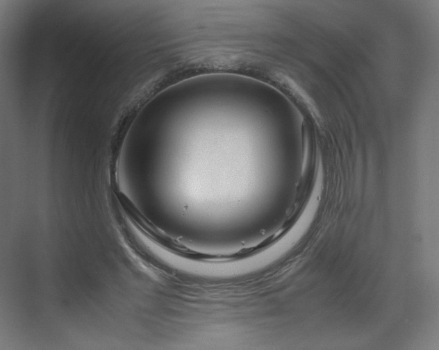 X0000070210493200606021259