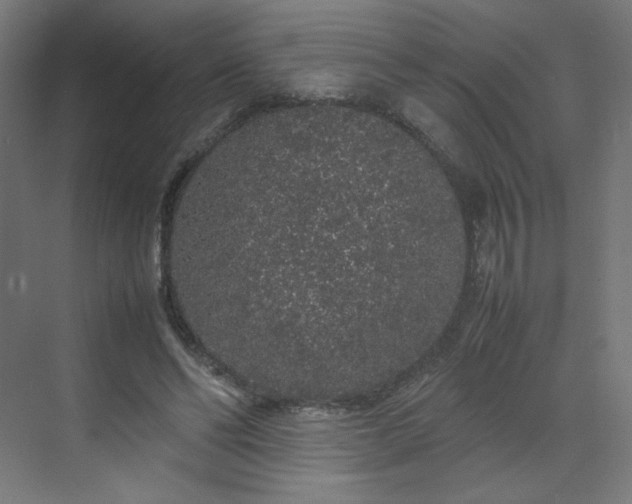 X0000070210494200606021259