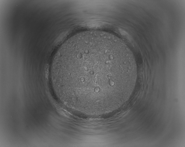 X0000070210495200606021259