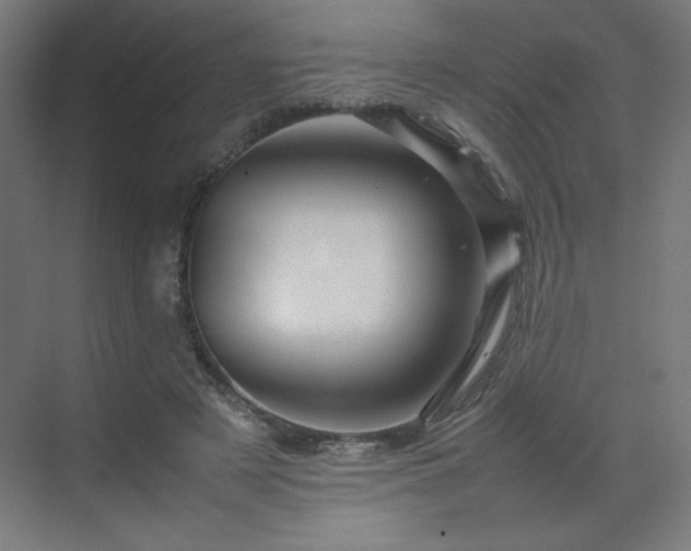 X0000070210497200606021259