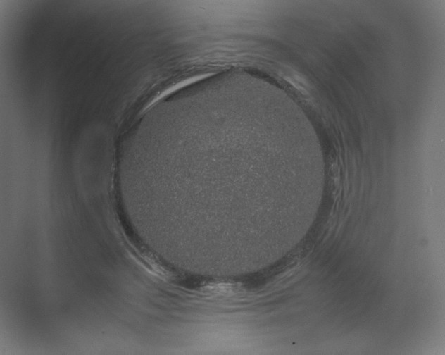 X0000070210499200606021259