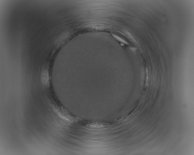 X0000070210500200606021259