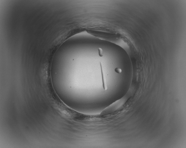 X0000070210501200606021259