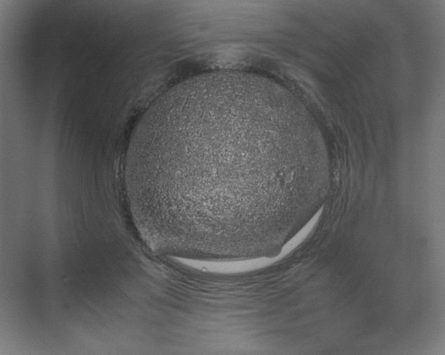 X0000070210503200606021259