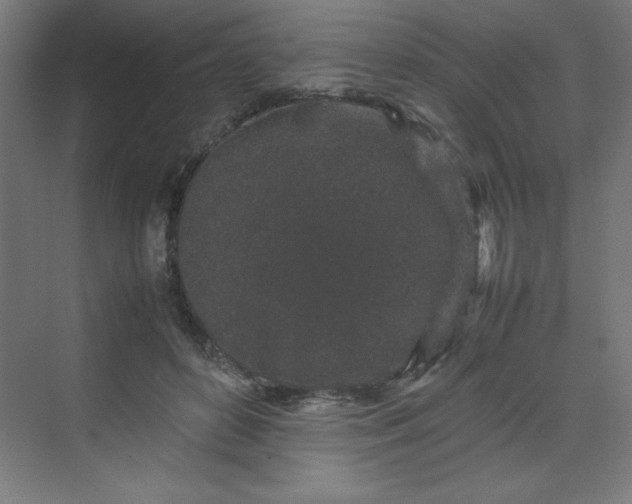 X0000070210504200606021259