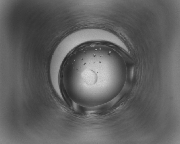 X0000070210505200606021259