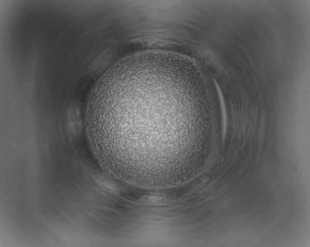 X0000070210506200606021259