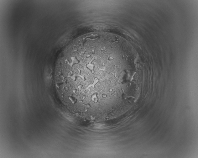 X0000070210507200606021259