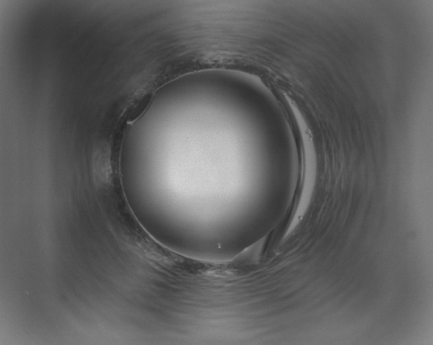 X0000070210508200606021259