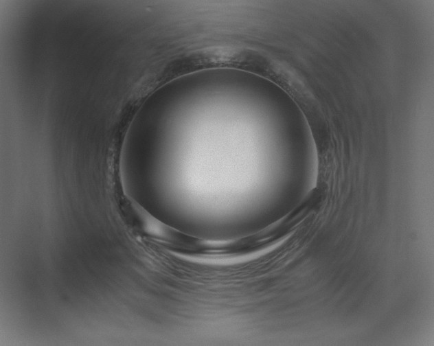 X0000070210509200606021259