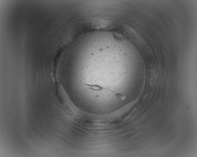 X0000070210510200606021259