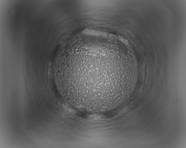 X0000070210511200606021259