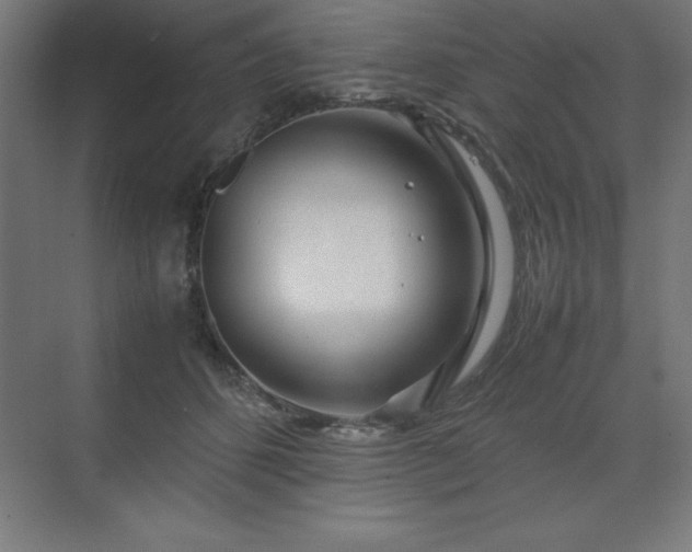 X0000070210512200606021258