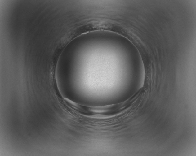 X0000070210513200606021258