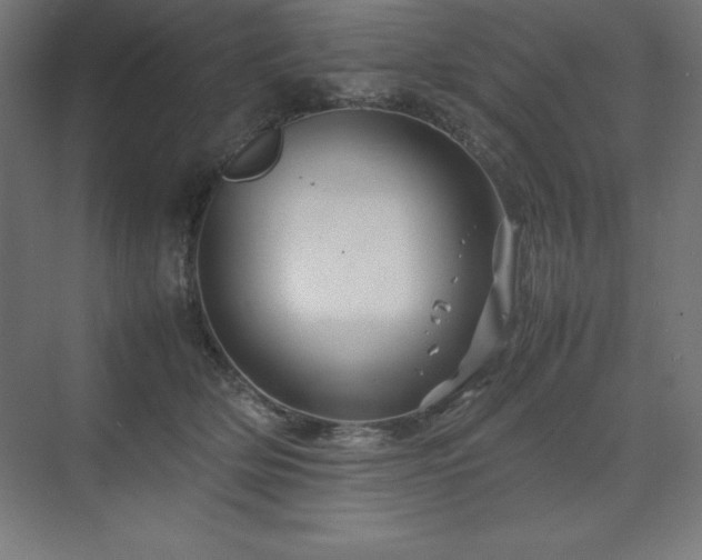 X0000070210514200606021258