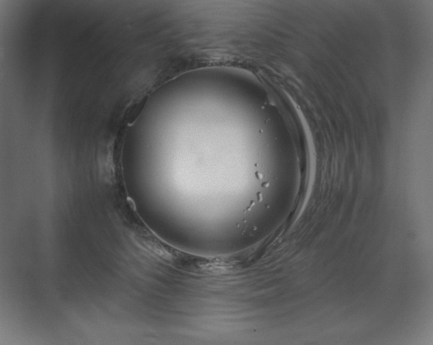 X0000070210516200606021258