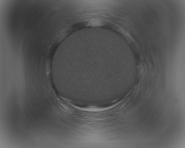 X0000070210517200606021258