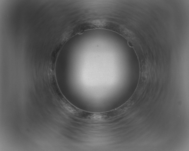 X0000070210518200606021258