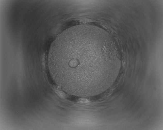 X0000070210519200606021258