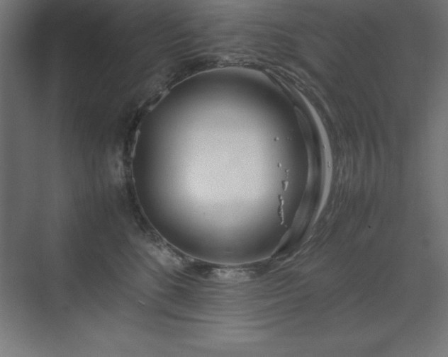 X0000070210520200606021258