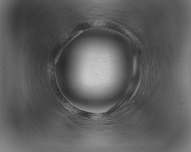 X0000070210521200606021258