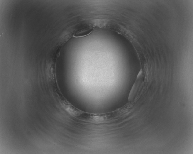 X0000070210522200606021258