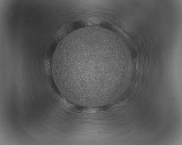 X0000070210523200606021258