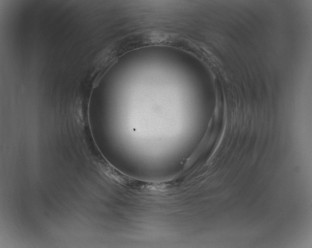 X0000070210524200606021258