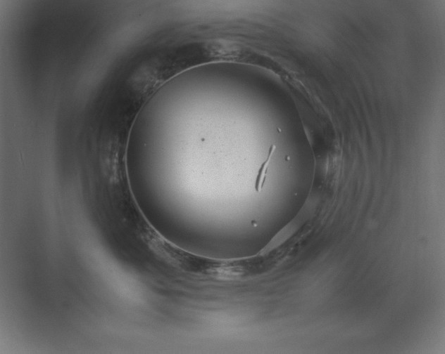 X0000070210525200606021258