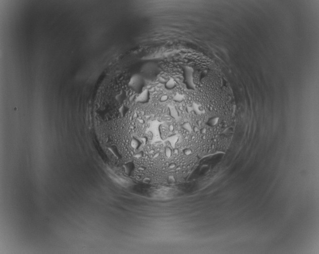 X0000070210527200606021258