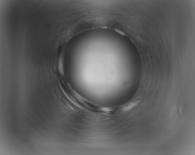 X0000070210528200606021258