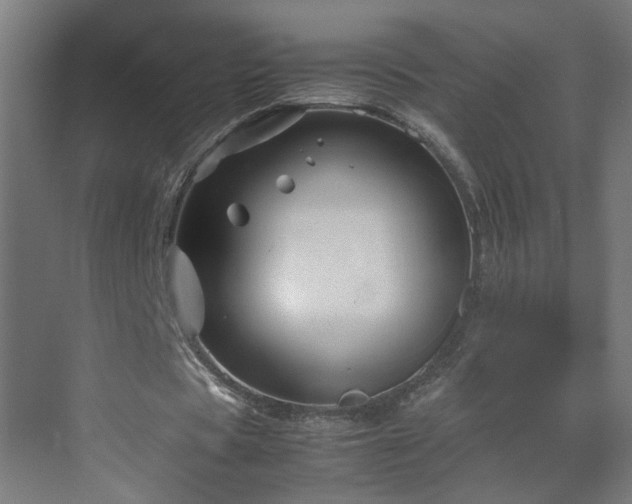 X0000070210529200606021257