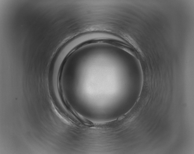 X0000070210530200606021257