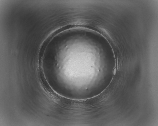 X0000070210531200606021257