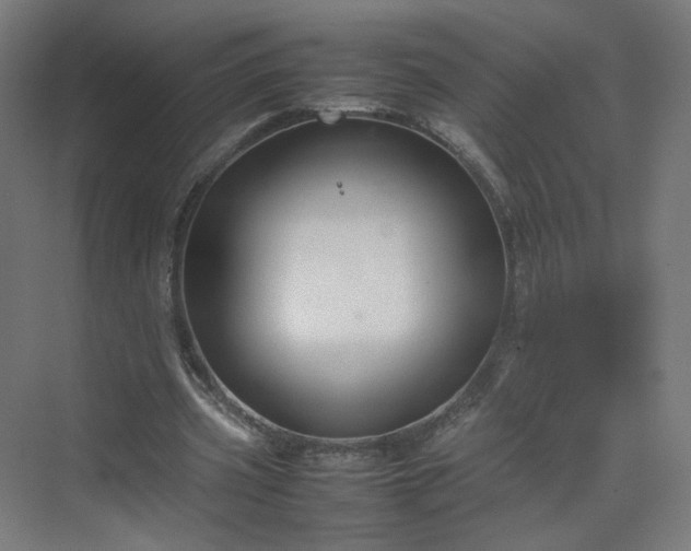 X0000070210533200606021257