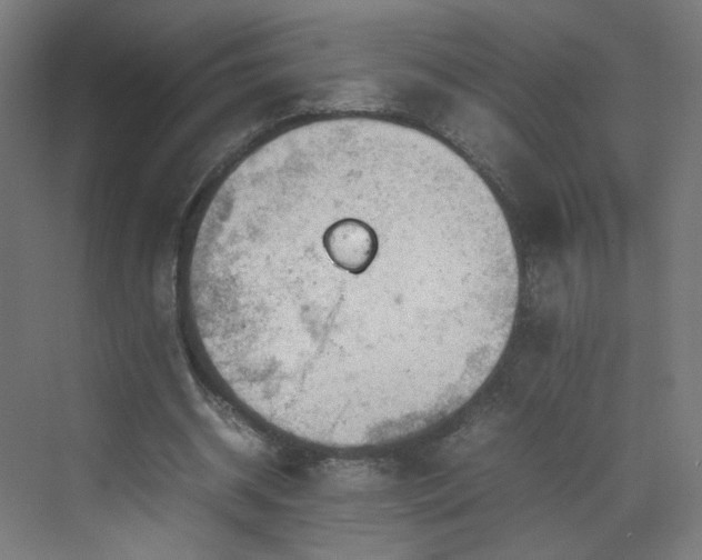 X0000070210534200606021257