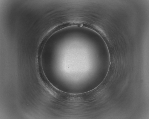 X0000070210535200606021257