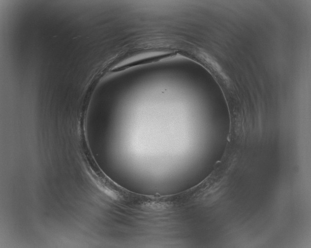 X0000070210537200606021258