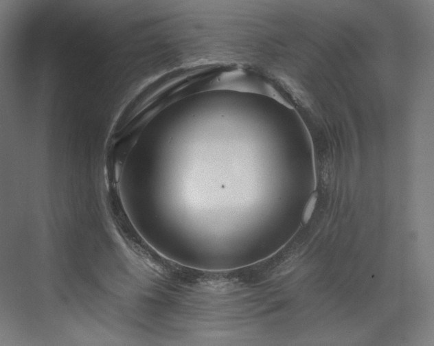 X0000070210540200606021258