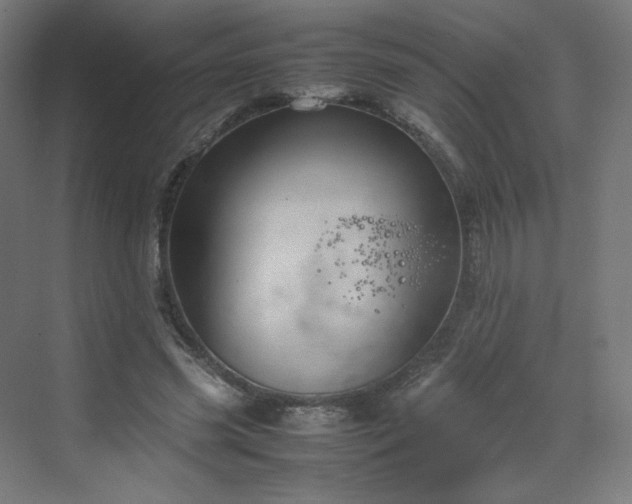 X0000070210541200606021258