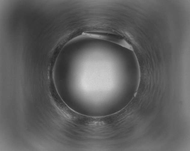 X0000070210543200606021258