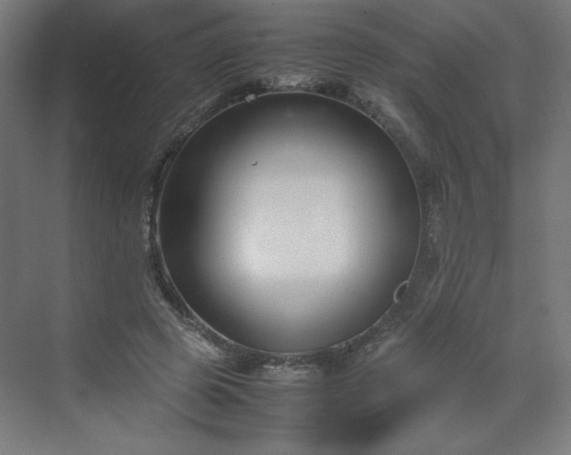 X0000070210545200606021258