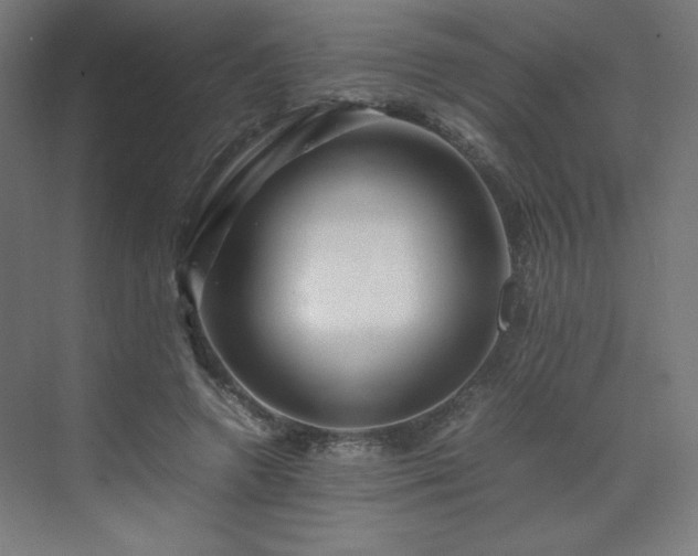 X0000070210546200606021258