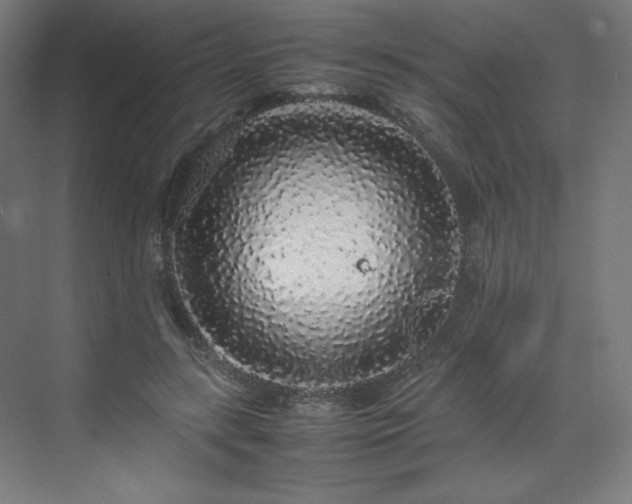 X0000070210547200606021258