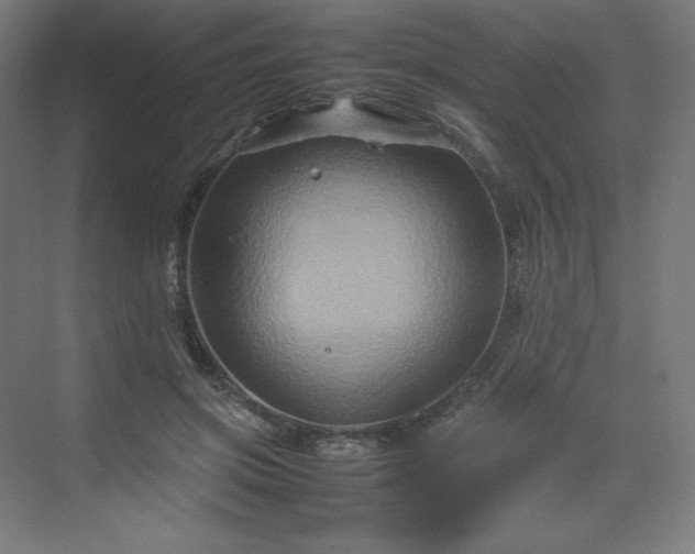 X0000070210549200606021258